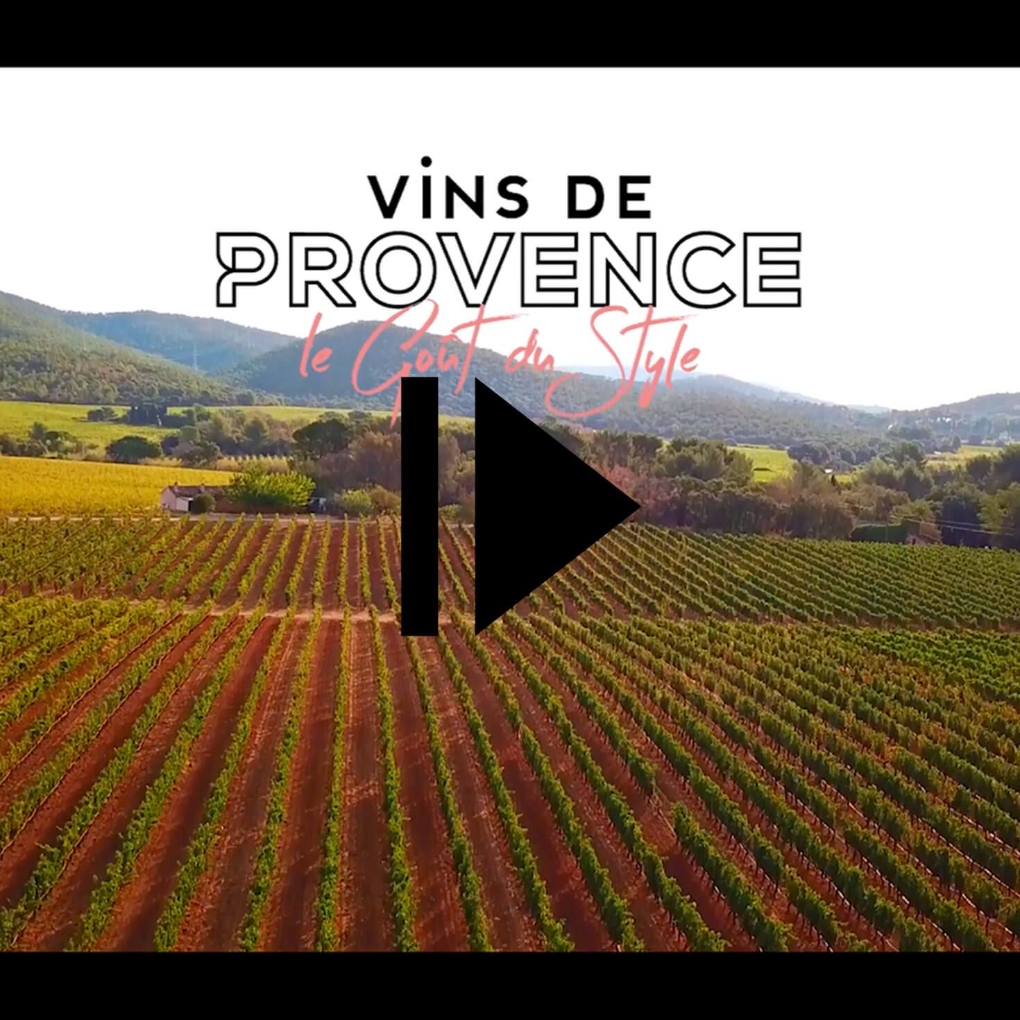 Home Vins De Provence